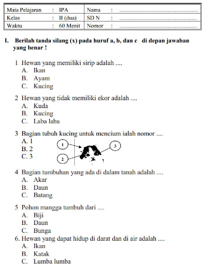 Bersiap Hadapi Penilaian Akhir Semester 1 Panduan Lengkap Contoh Soal